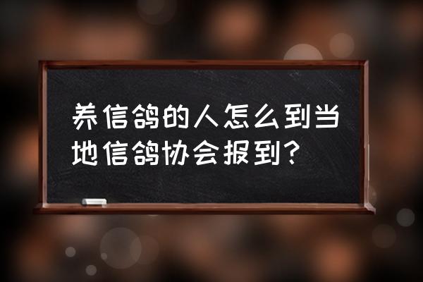 潮州信鸽协怎么办理相关手续 养信鸽的人怎么到当地信鸽协会报到？