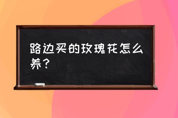 街上买的小玫瑰花盆栽怎样栽 路边买的玫瑰花怎么养？