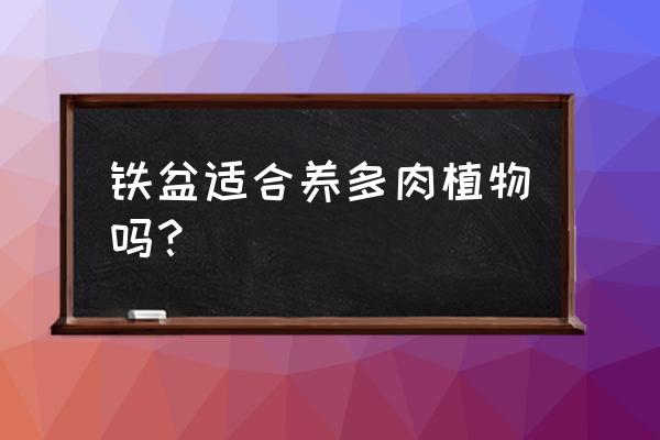 铁花盆如何种多肉 铁盆适合养多肉植物吗？