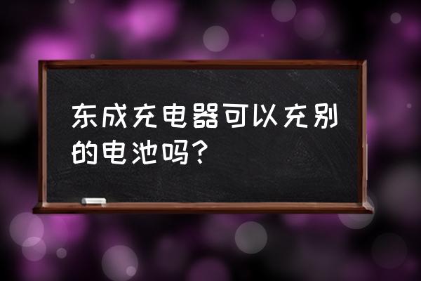 充电器是不是固定搭配 东成充电器可以充别的电池吗？