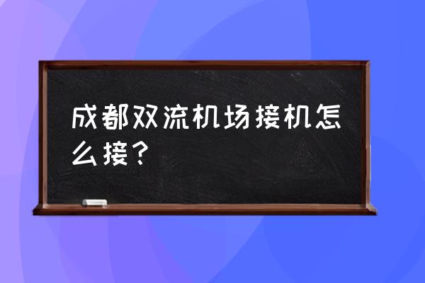 机场接机用什么镜头 成都双流机场接机怎么接？