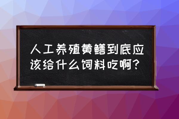 请问养鳝鱼用什么饲料最好 人工养殖黄鳝到底应该给什么饲料吃啊？