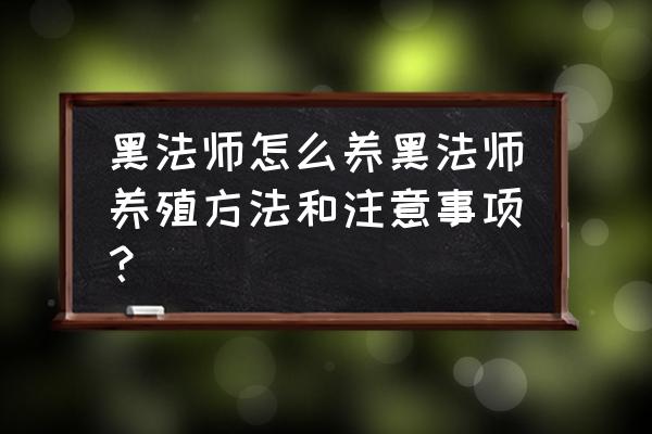 黑法师冬天会掉叶子吗 黑法师怎么养黑法师养殖方法和注意事项？