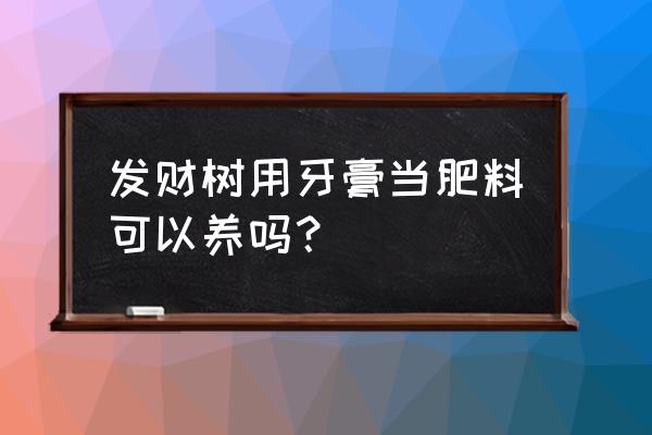 发财树肥料可自制吗 发财树用牙膏当肥料可以养吗？