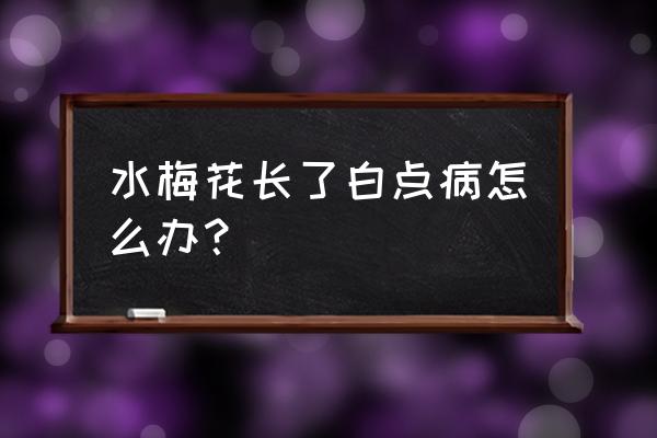 红梅盆景叶子发白斑怎么回事 水梅花长了白点病怎么办？