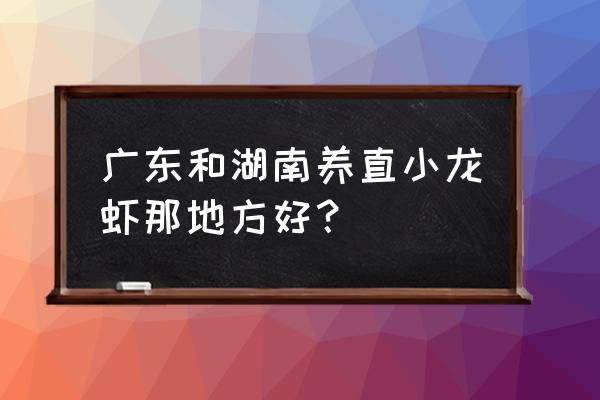 长沙小龙虾养殖在哪 广东和湖南养直小龙虾那地方好？