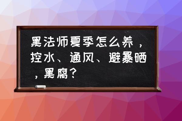 黑法师多肉植物喜欢水吗 黑法师夏季怎么养，控水、通风、避暴晒，黑腐？