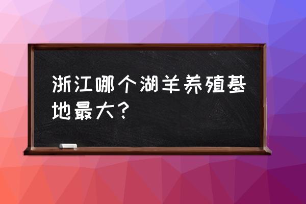 嘉兴哪里养羊基地 浙江哪个湖羊养殖基地最大？