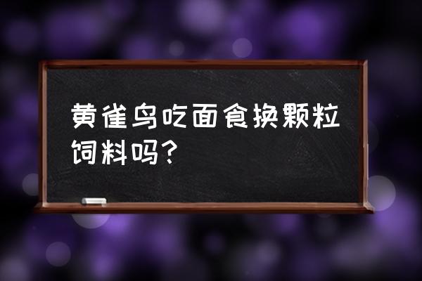 黄雀幼鸟吃饲料可以吗 黄雀鸟吃面食换颗粒饲料吗？