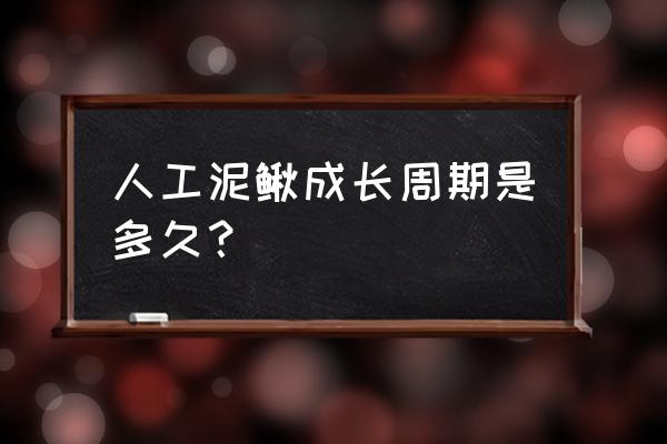 人工养殖的泥鳅多久能长大 人工泥鳅成长周期是多久？