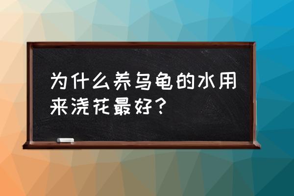 养乌龟养鱼养虾的水浇花好吗 为什么养乌龟的水用来浇花最好？