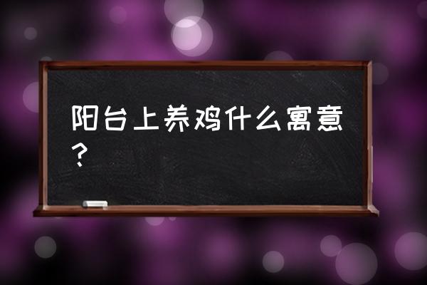 门店后养鸡风水好不好 阳台上养鸡什么寓意？