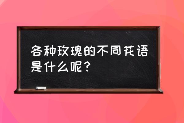 各色玫瑰花语代表什么 各种玫瑰的不同花语是什么呢？