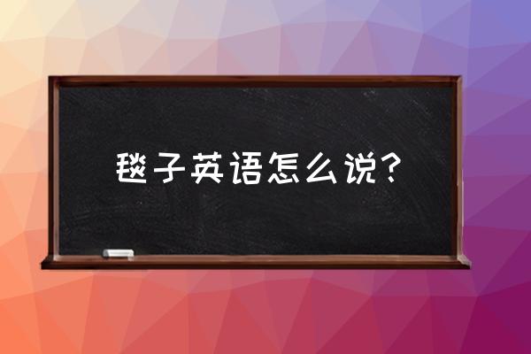 我的毯子在哪里用英语怎么说 毯子英语怎么说？