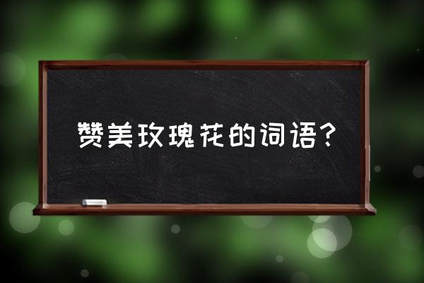 可以用什么词来形容玫瑰花 赞美玫瑰花的词语？