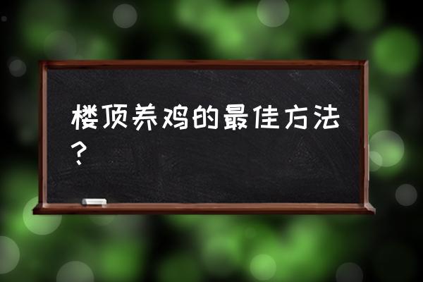 在楼顶怎么养鸡才不会生病 楼顶养鸡的最佳方法？