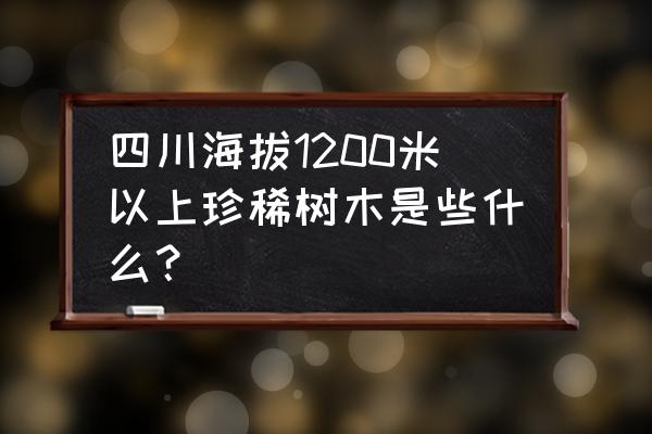 巴中适宜种什么名贵树 四川海拔1200米以上珍稀树木是些什么？