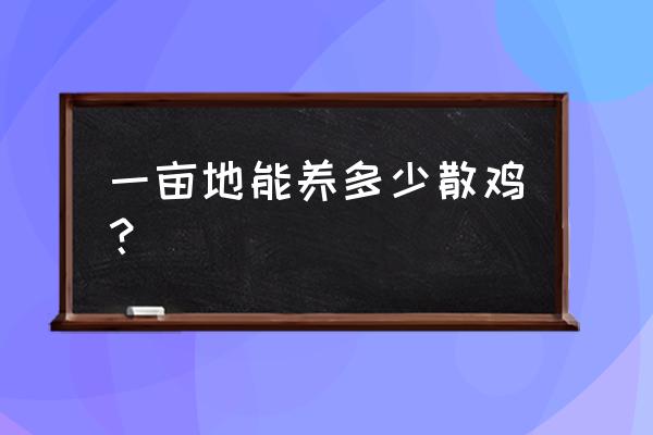 散养鸡一亩地能放养多少鸡 一亩地能养多少散鸡？