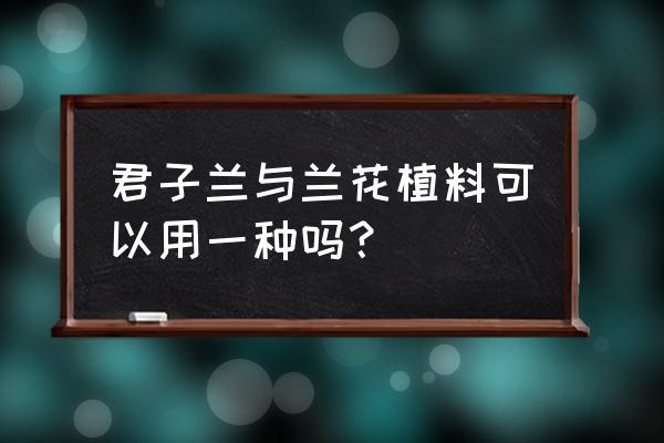 君子兰土种兰花行吗 君子兰与兰花植料可以用一种吗？