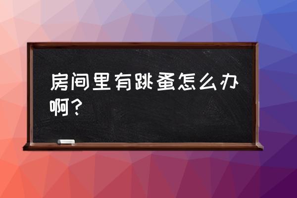 家里有跳蚤要每天都打杀虫剂吗 房间里有跳蚤怎么办啊？