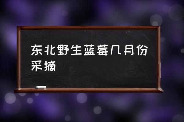 丹东蓝莓几月份成熟 东北野生蓝莓几月份采摘