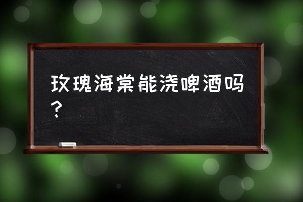 丽格海棠可以浇啤酒吗 玫瑰海棠能浇啤酒吗？