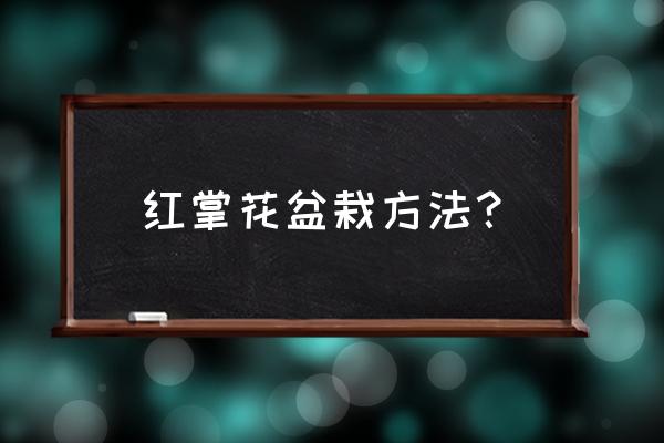 红掌盆栽花卉如何养殖 红掌花盆栽方法？