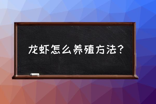 怎么仿野生龙虾养殖技术 龙虾怎么养殖方法？