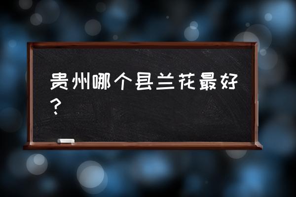 贵州哪里兰花好 贵州哪个县兰花最好？