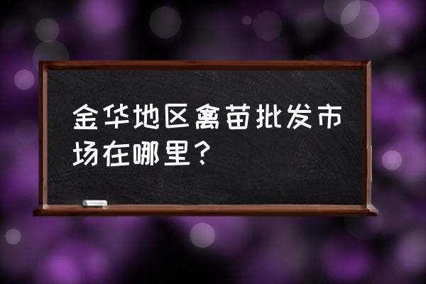 金华市哪有白鸭养殖场 金华地区禽苗批发市场在哪里？