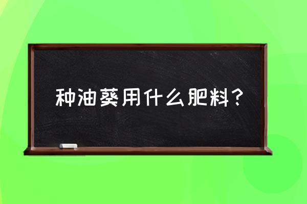 脲铵氮肥给油葵能施吗 种油葵用什么肥料？