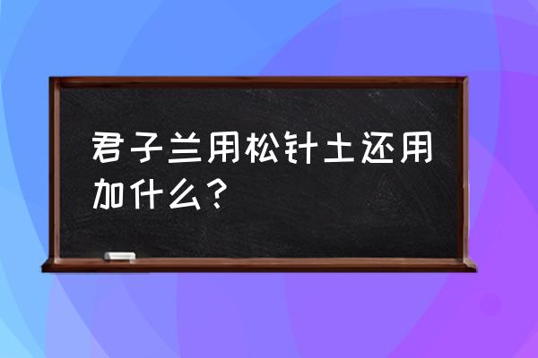 用松针养君子兰需怎样配土 君子兰用松针土还用加什么？