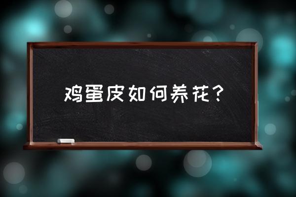 如何用鸡蛋壳做小花盆 鸡蛋皮如何养花？