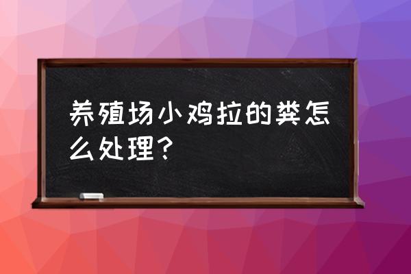 散养鸡拉屎怎么注意卫生 养殖场小鸡拉的粪怎么处理？