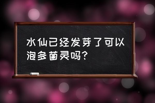 多灵菌怎么泡水仙花球 水仙已经发芽了可以泡多菌灵吗？