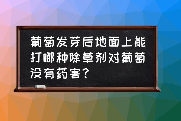 葡萄育苗能打除草剂吗 葡萄发芽后地面上能打哪种除草剂对葡萄没有药害？