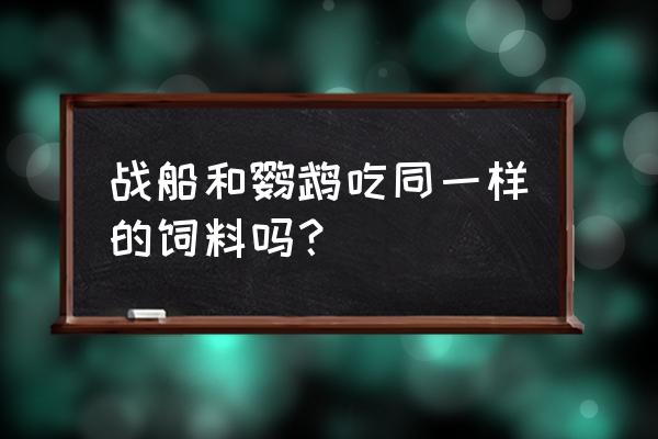 鹦鹉光喂统一饲料可以吗 战船和鹦鹉吃同一样的饲料吗？