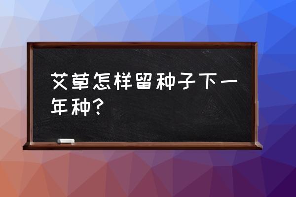 热情果种子怎么育苗 艾草怎样留种子下一年种？