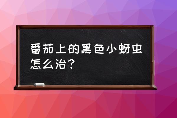 西红柿蚜虫去除办法有哪些 番茄上的黑色小蚜虫怎么治？