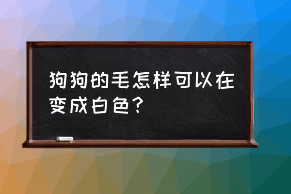 狗狗毛色变了可以调理回来吗 狗狗的毛怎样可以在变成白色？