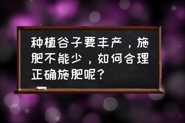 移栽水稻田的施肥管理 种植谷子要丰产，施肥不能少，如何合理正确施肥呢？