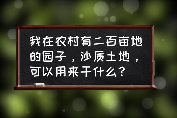 沙地种什么最挣钱 我在农村有二百亩地的园子，沙质土地，可以用来干什么？