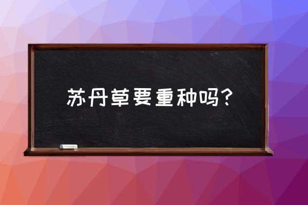 苏丹草的种植方法和注意事项 苏丹草要重种吗？