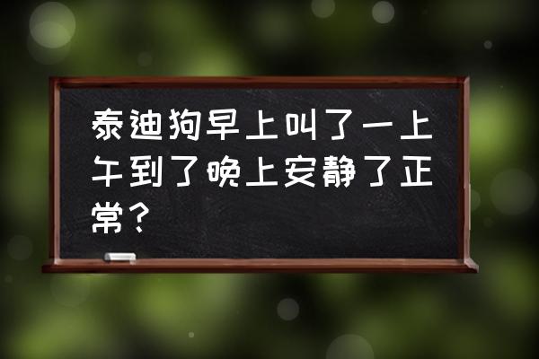 狗狗睡觉需要一个安静的的环境吗 泰迪狗早上叫了一上午到了晚上安静了正常？