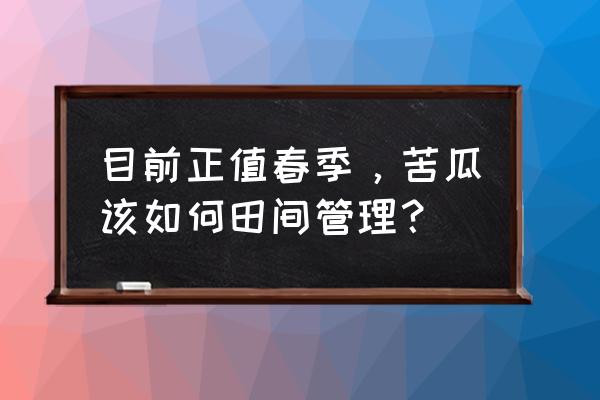 移栽后的苦瓜怎样管理 目前正值春季，苦瓜该如何田间管理？