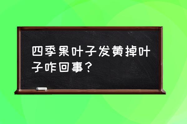 果树黄叶掉用什么方法补救 四季果叶子发黄掉叶子咋回事？