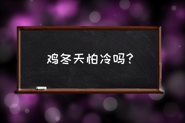 蛋鸡抗寒饲养有啥妙招 鸡冬天怕冷吗？