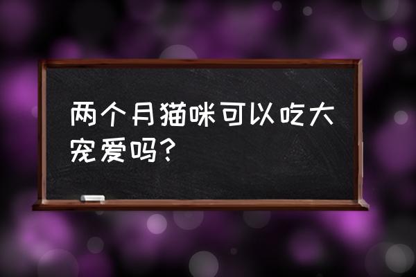 怎么给猫咪用大宠爱驱虫 两个月猫咪可以吃大宠爱吗？