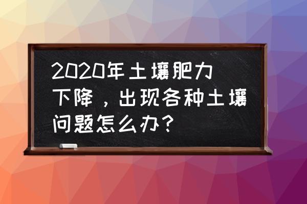 保护土壤的方法三年级 2020年土壤肥力下降，出现各种土壤问题怎么办？