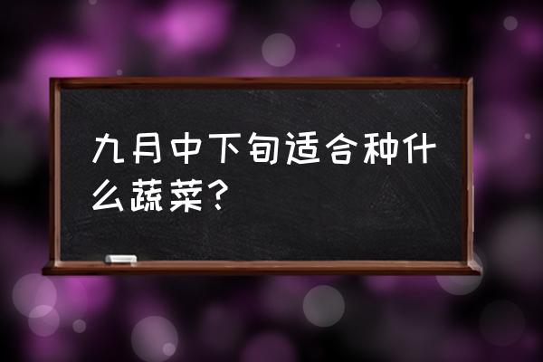 北方寒露后能种什么菜 九月中下旬适合种什么蔬菜？